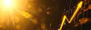 yn_ruu's profile banner image