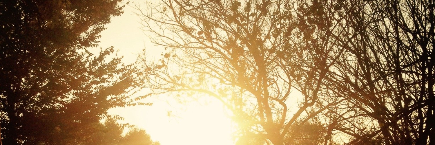 noemimi72's profile banner image
