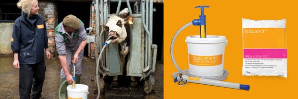 SelektSystem Profile Banner