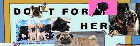 thealrightqueer's profile banner image