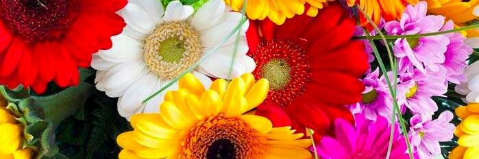 SquishyPishy541's profile banner image
