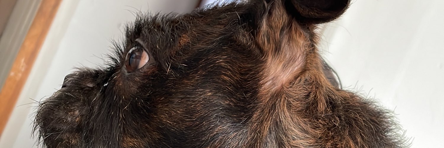 oEllx_'s profile banner image