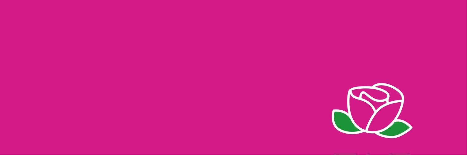 asternott25's profile banner image