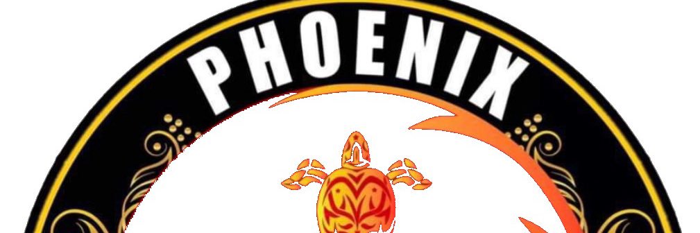 Phoenix Moon banner