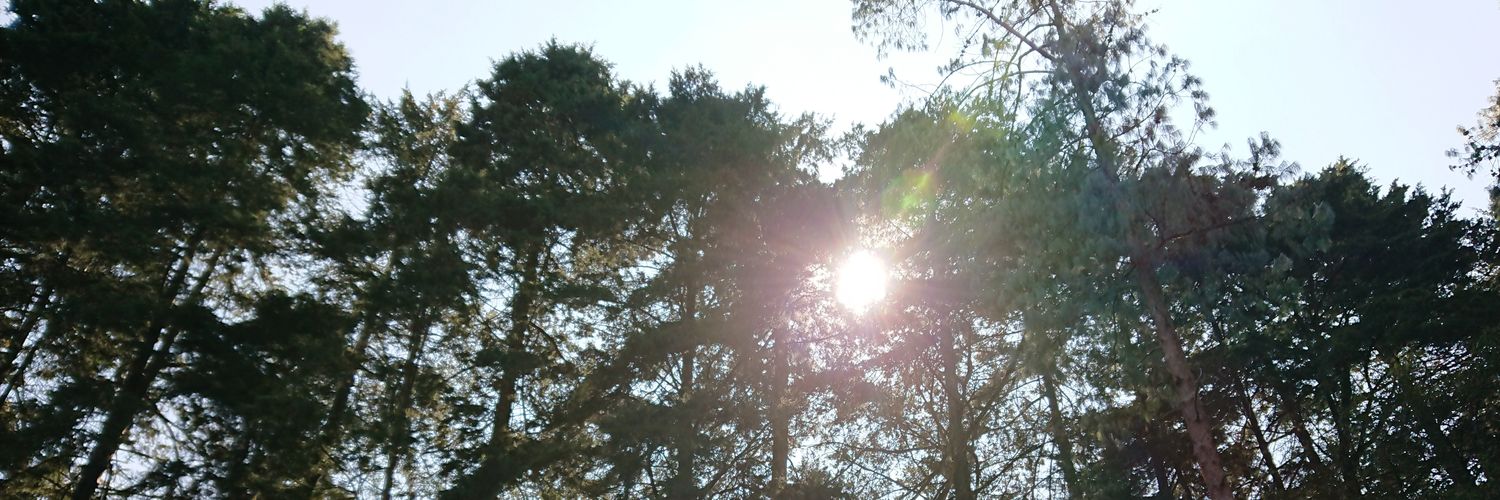 CallesDayanira's profile banner image