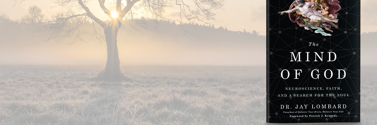 MindfulNeuro's profile banner image