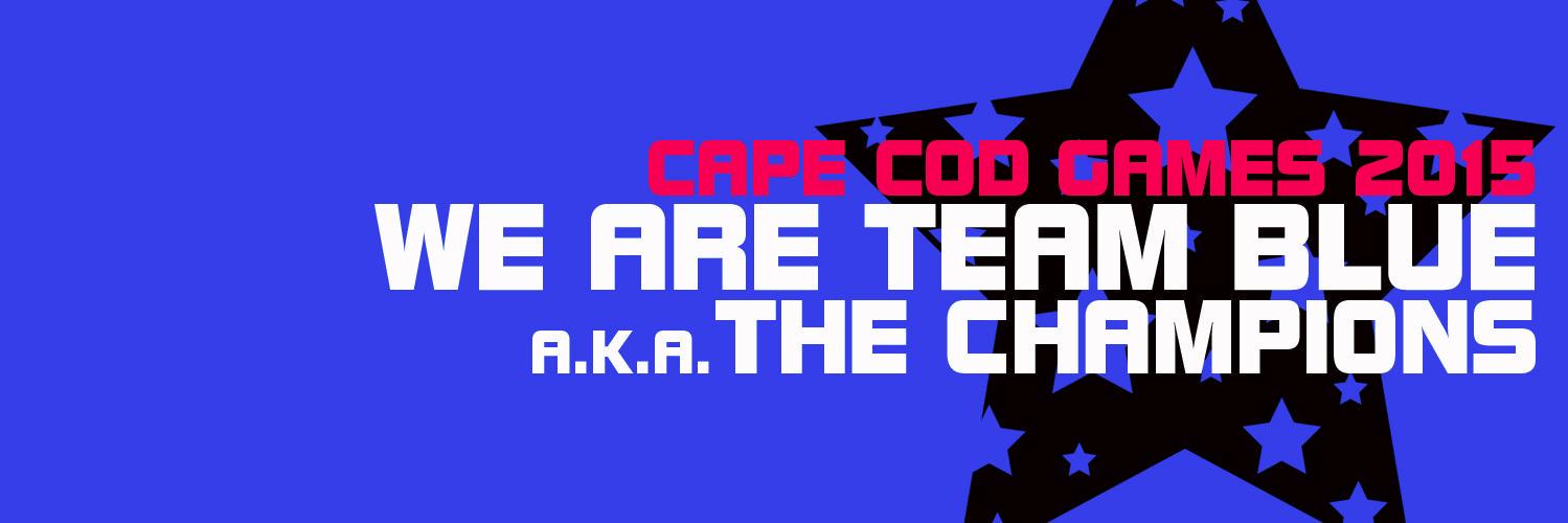 Team Blue 2015 banner