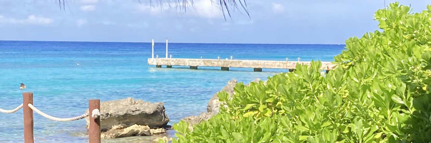 JandryArmenta's profile banner image