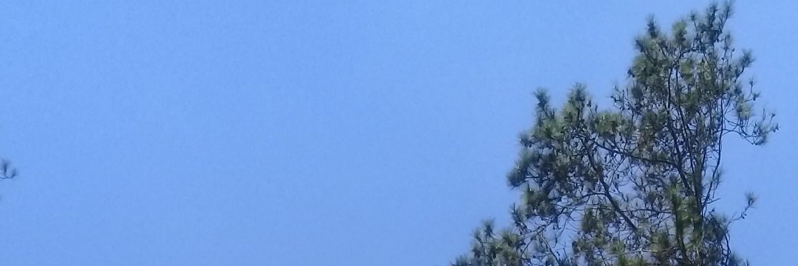 LikeOwll's profile banner image
