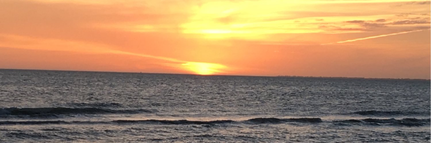 Scott Cummings banner