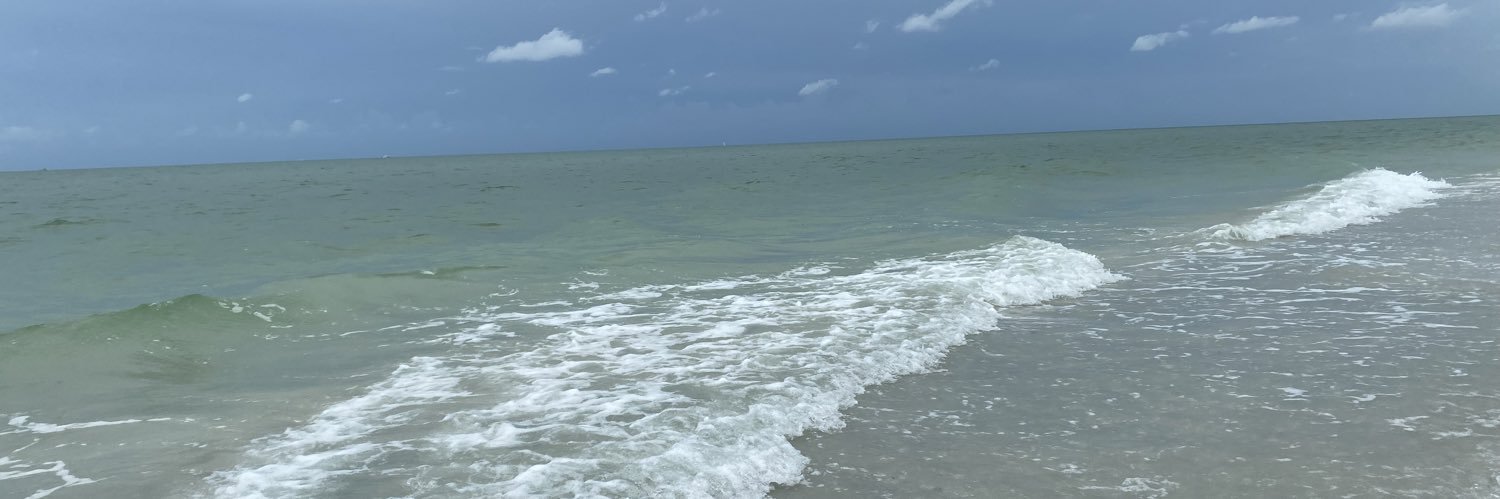 T_MurphyBrown's profile banner image