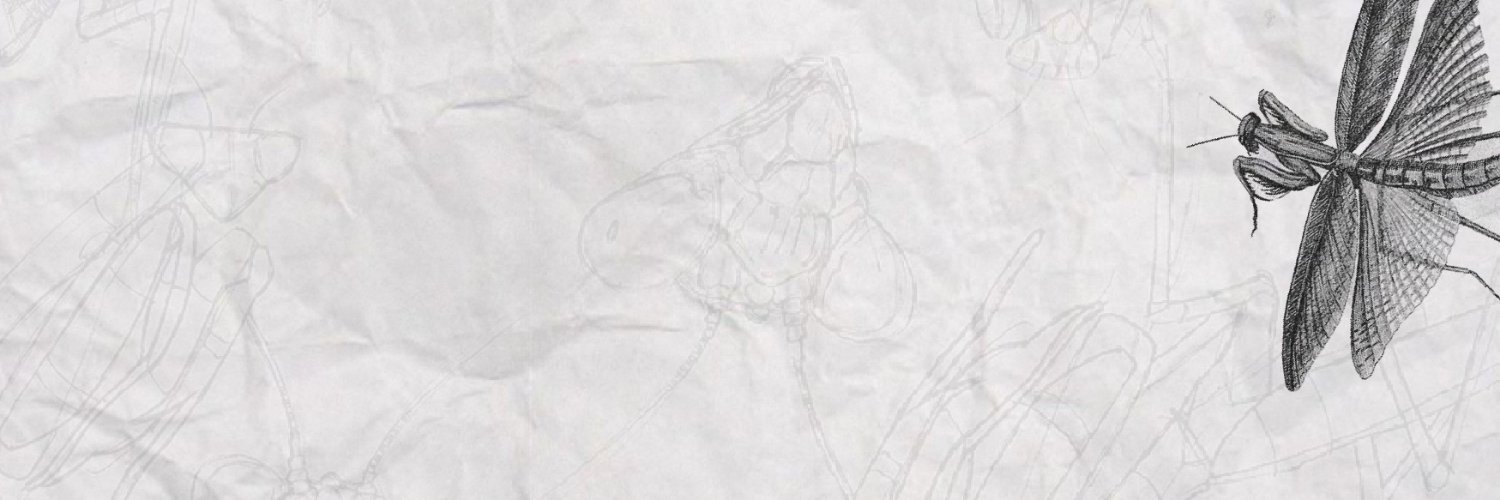 Otelrocam's profile banner image