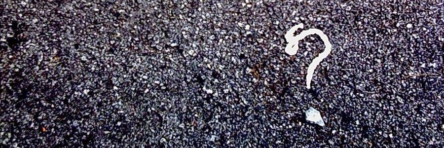 DavidsonLauryn's profile banner image