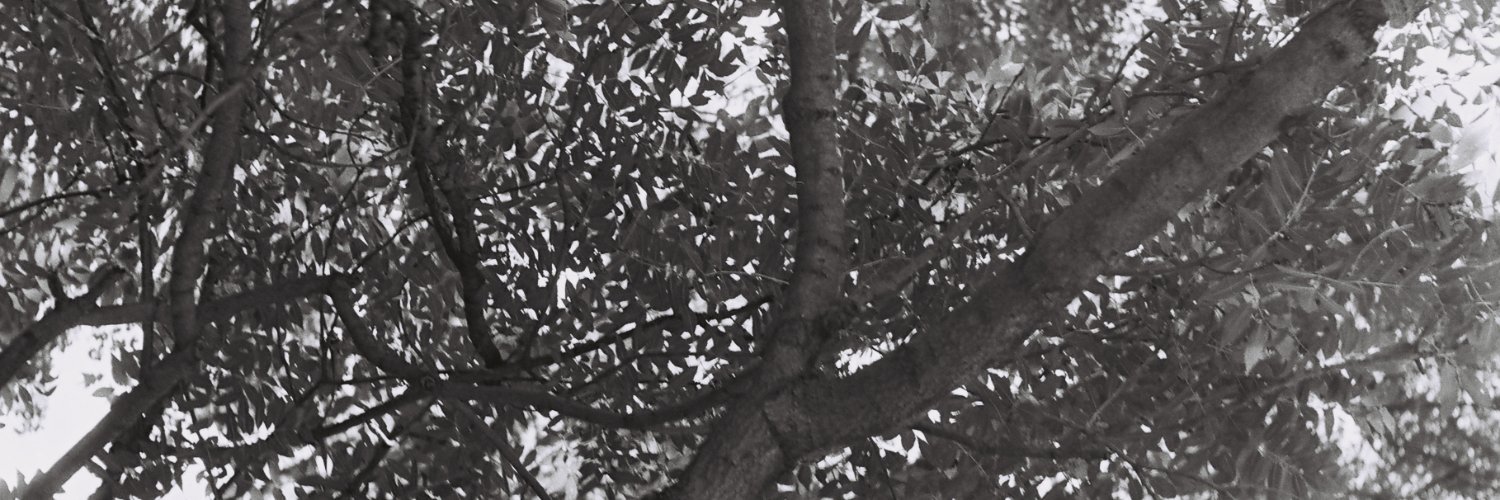Vilém Zouhar's banner