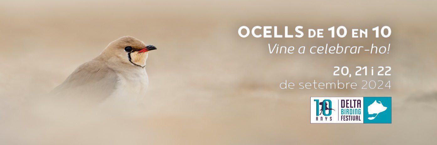 DeltaBirdingFestival banner