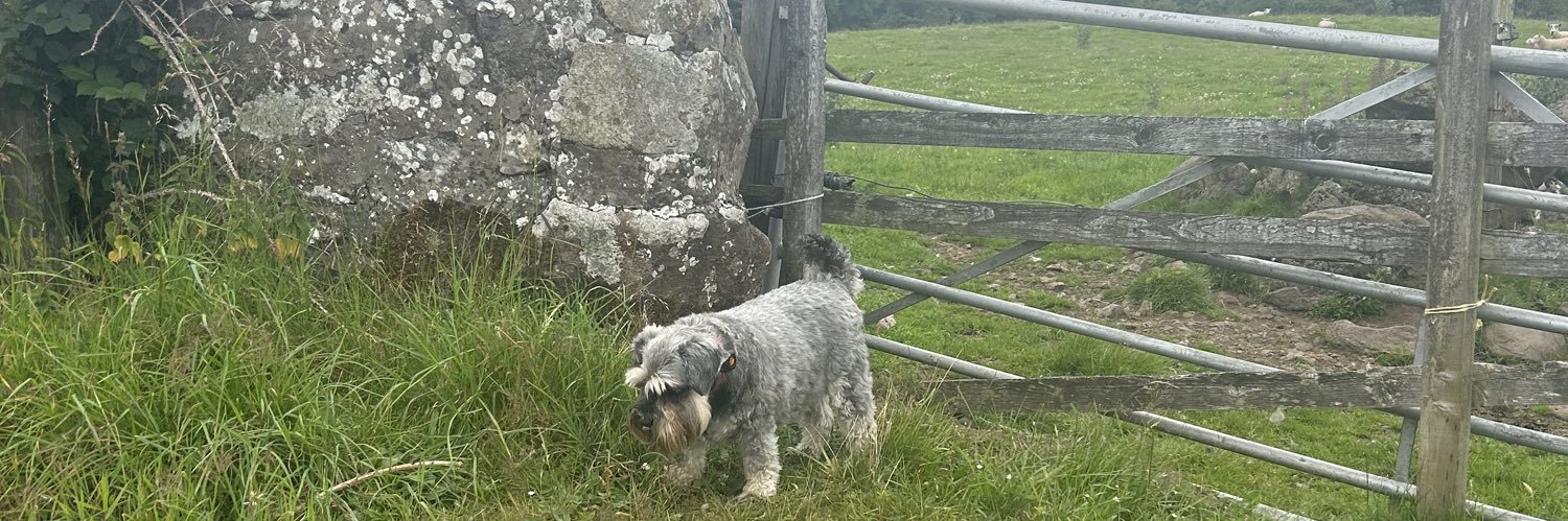 Susi Maclean 🏴󠁧󠁢󠁳󠁣󠁴󠁿 💜🤍💚 XX banner