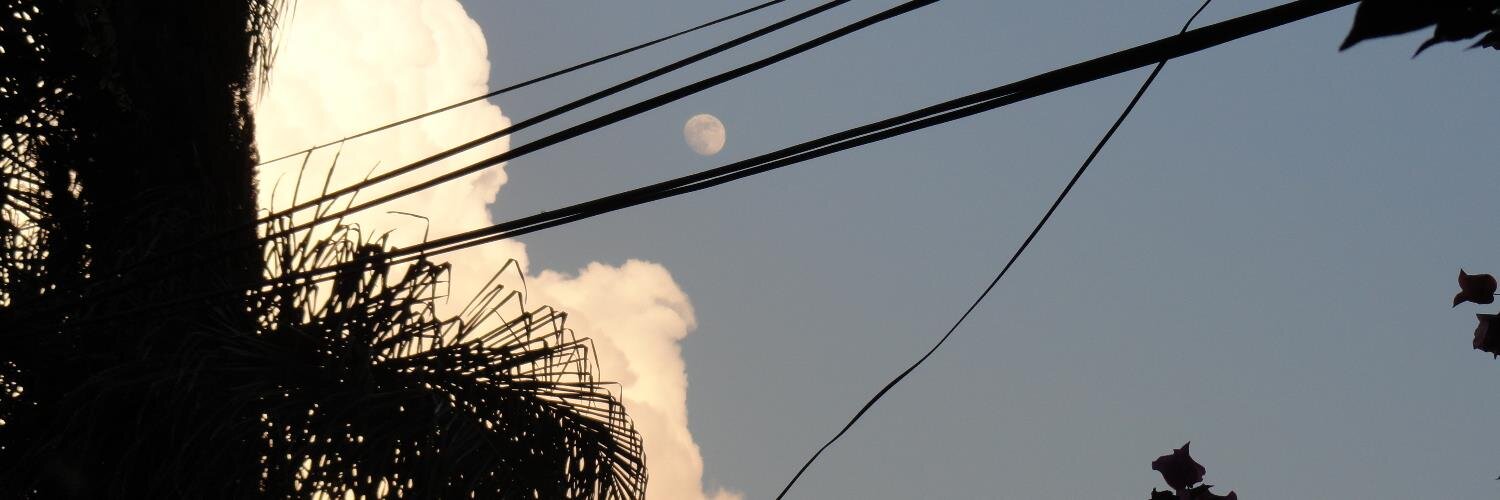 Juan Carlos Núñez B. banner