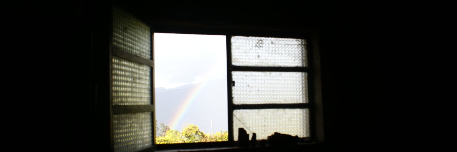 Perrodeparamo's profile banner image