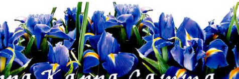 KKGLoopGroup's profile banner image