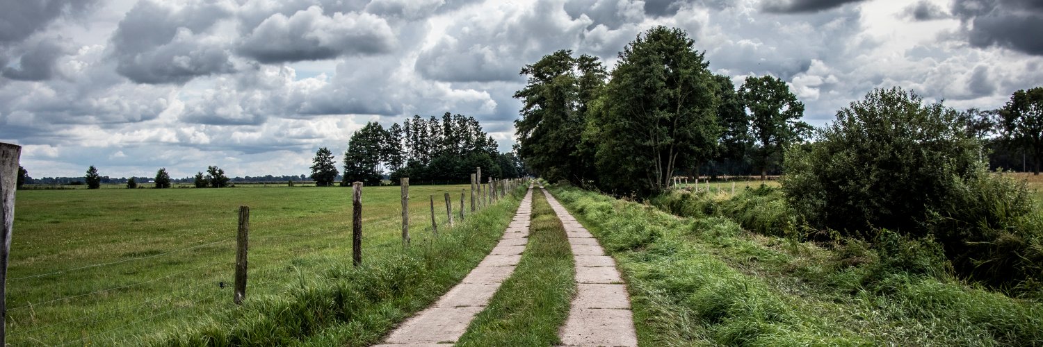 Tim Leidecker banner