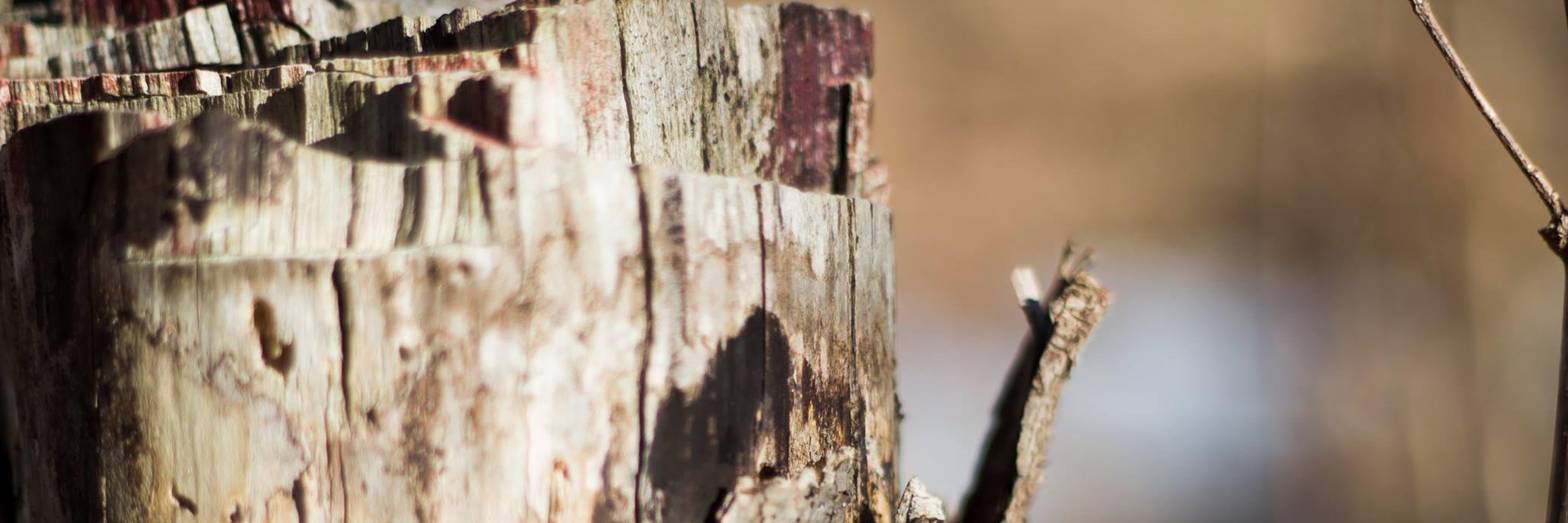 andrewhtougas's profile banner image