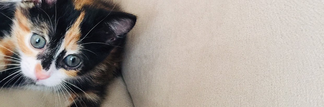 erapgn's profile banner image