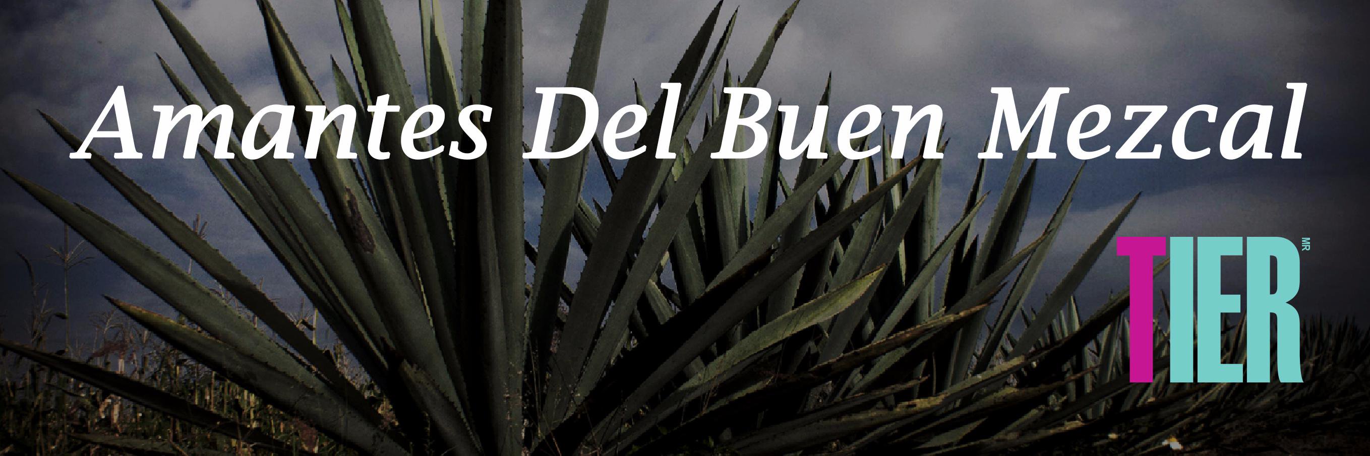 TierMezcal's profile banner image