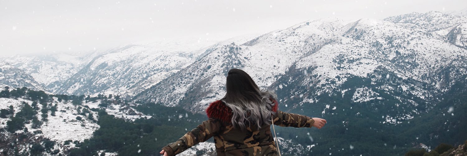 LadyMandarine's profile banner image