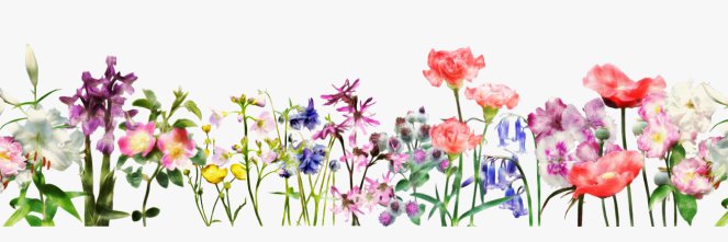 ZDBoutique's profile banner image