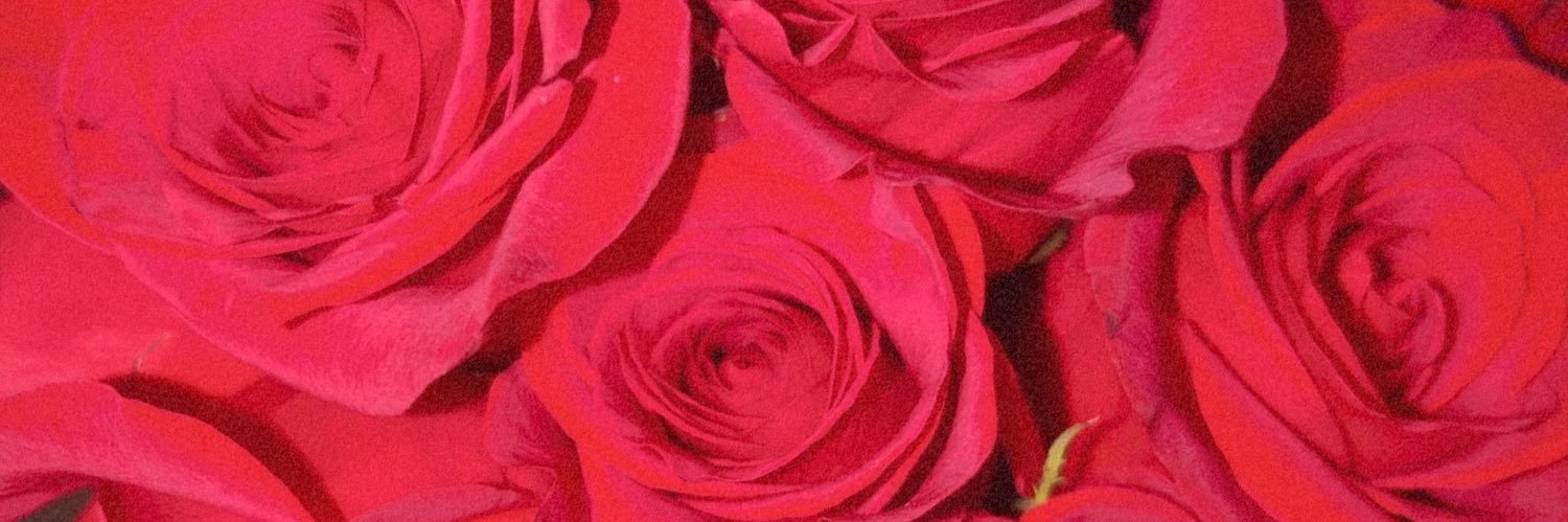 Ki 🪞♡ ⋆˙ banner