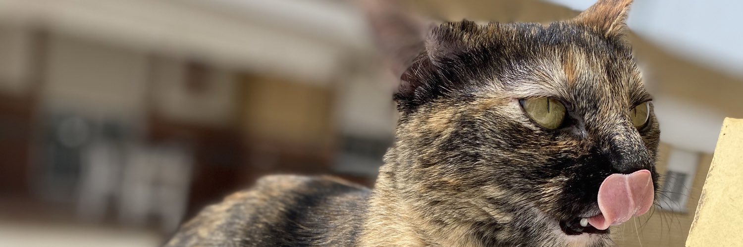 AndreewMoss_'s profile banner image