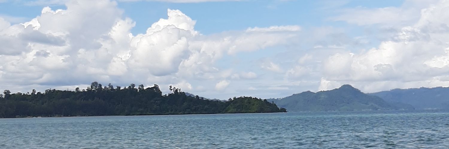 Nisaa Hutasuhut banner