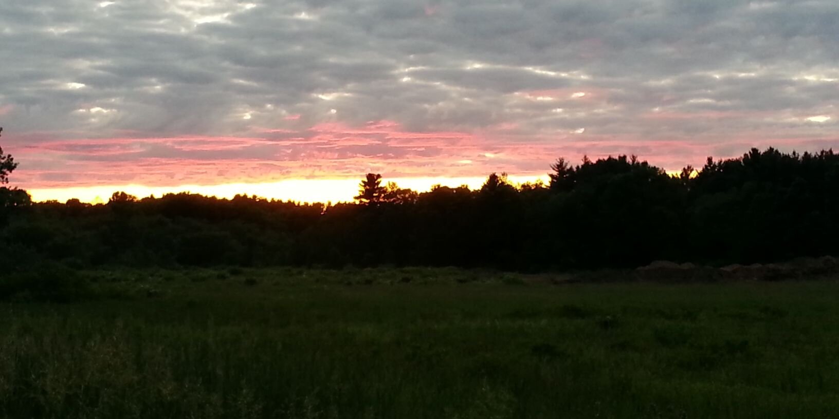 Sammy Sabańa banner