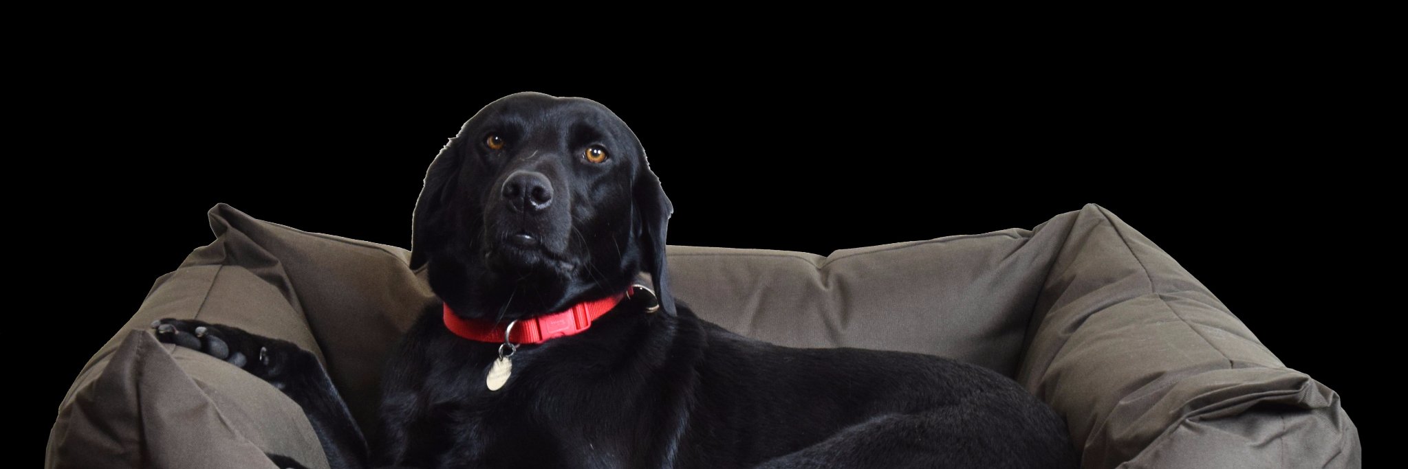 PetPlanetcouk's profile banner image