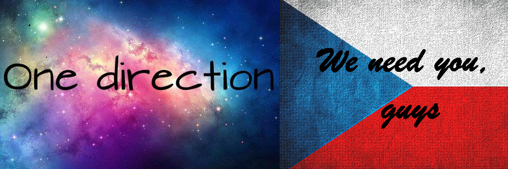 CzechNeeds_1D's profile banner image