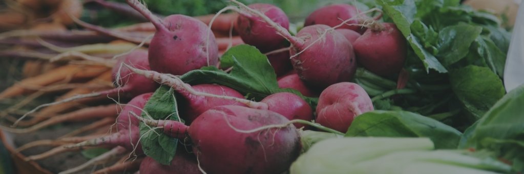 PocoFarmersMkt's profile banner image