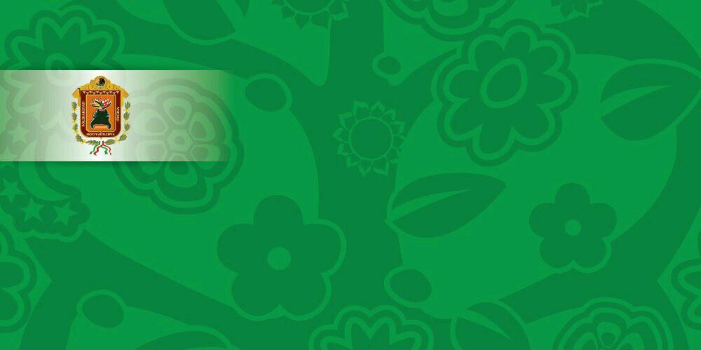 mujer_metepec's profile banner image