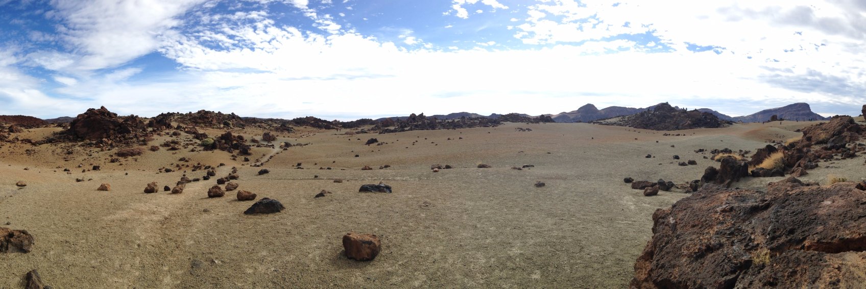 🔻Núria Fustier #RentaBasicaYa banner