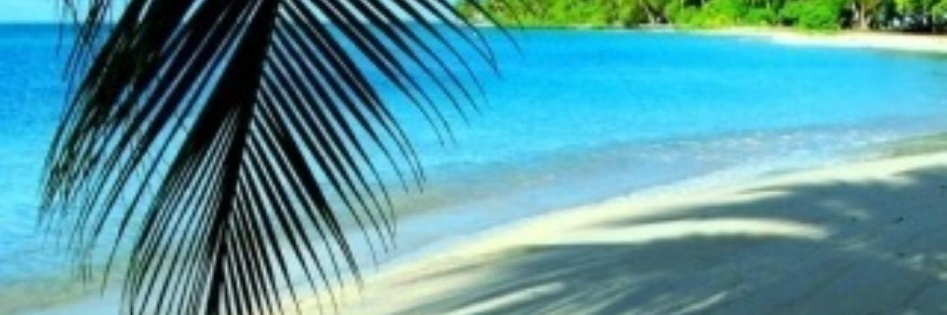 tanaybrown's profile banner image