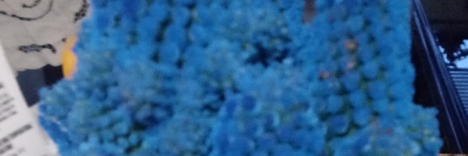 SaintReef's profile banner image