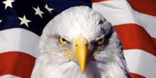 AllenReisner's profile banner image