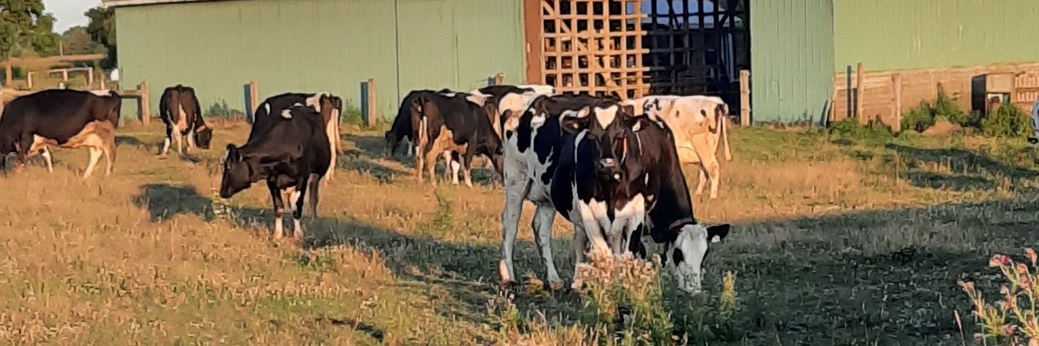 for the love of ag banner