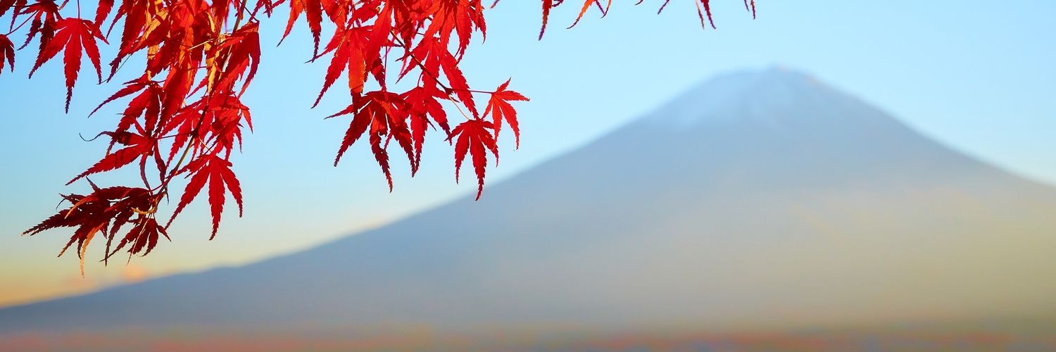 Adecastro55's profile banner image