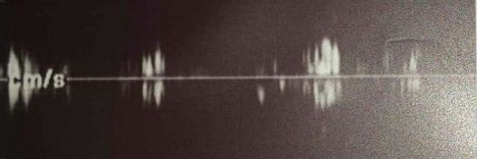 nahudsiempre's profile banner image