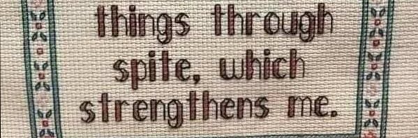 Calvinball World Champion * banner