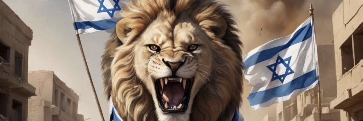 SapirEdi's profile banner image