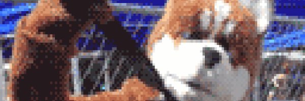 asherwolfstein Profile Banner