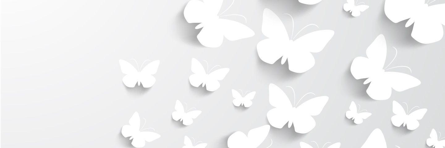 Dianaropalacios's profile banner image
