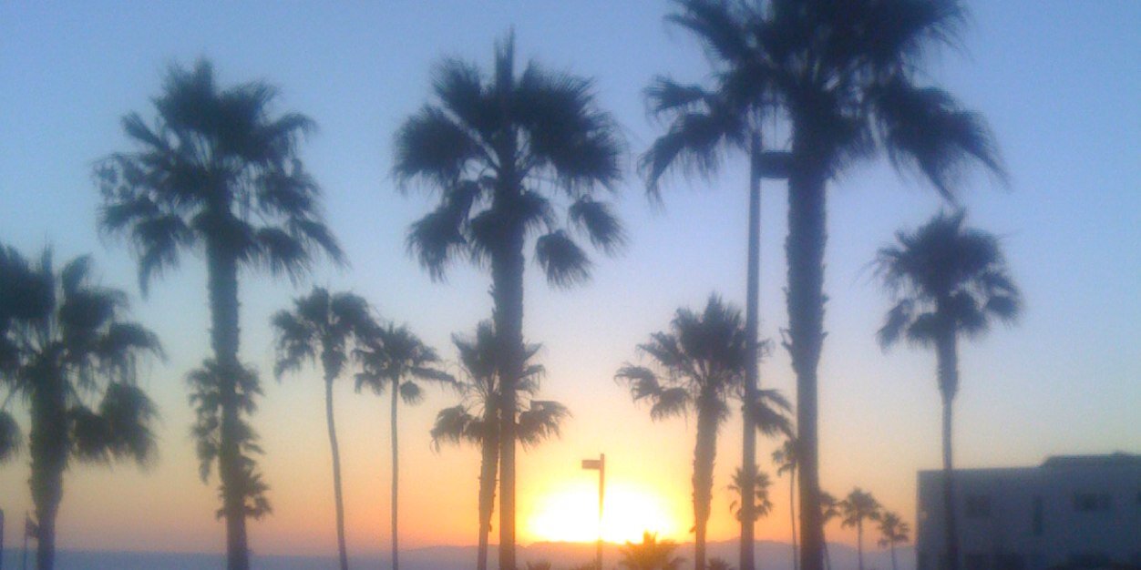 rya526's profile banner image