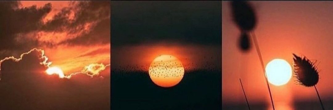 guzelesra1's profile banner image